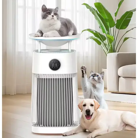 Kepiye Filter Hepa Portable Pets Air Purifier Ningkatake Kualitas Udara Ing njero ruangan kanggo Pamilik Pet?